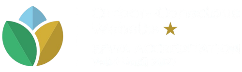Cyber-Conscious Websafe accreditation